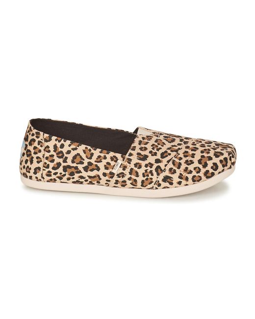 TOMS Brown Alpargata Espadrilles / Casual Shoes