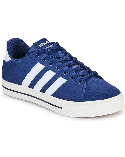 Adidas Blue Shoes (trainers) Daily 4.0 for men