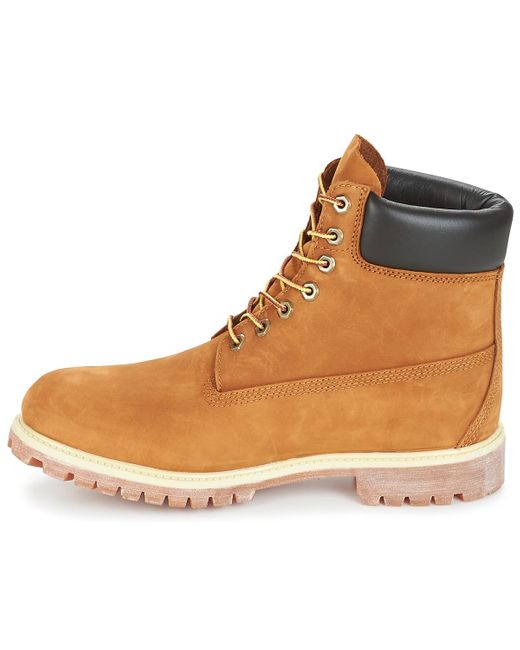 timberland foraker 6