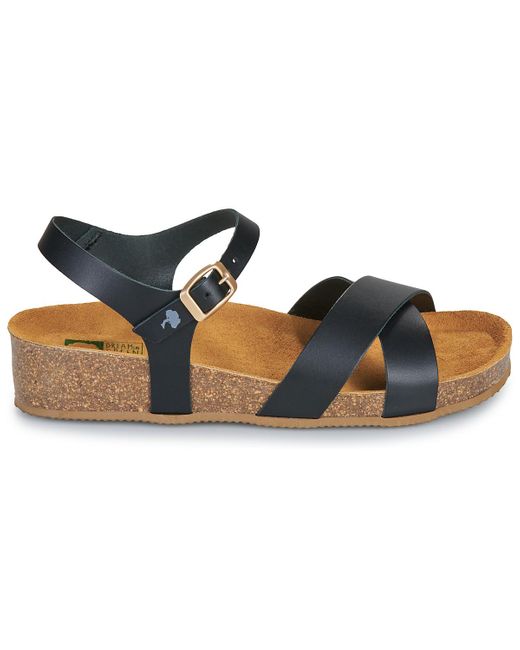 Dream in Green Blue Wedge Sandals Tsilia