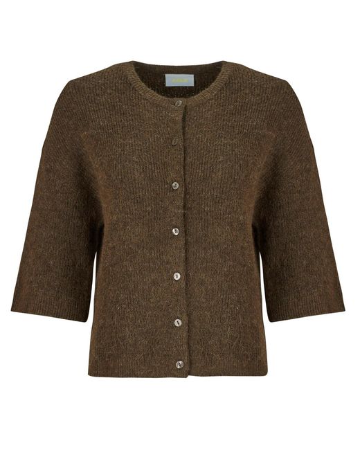 JJXX Brown Cardigans Jxevi Ss Cardigan Knit