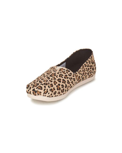 TOMS Brown Alpargata Espadrilles / Casual Shoes