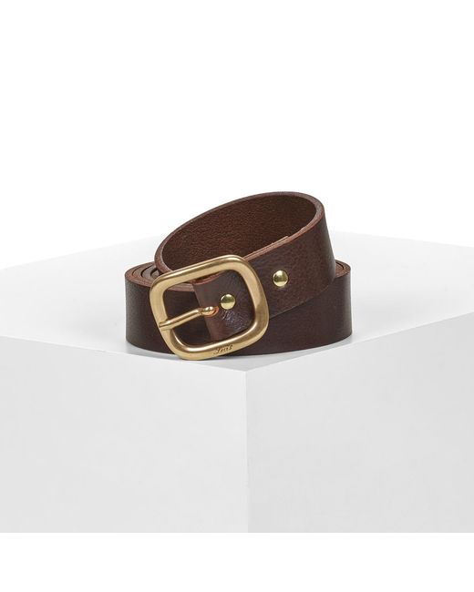 Levi's Brown Belt Cameron Long Length