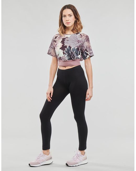 Adidas Purple T Shirt W Aop Crp Tee