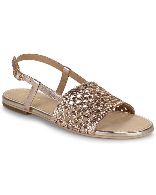 Betty London Brown Flat Sandals Alissa