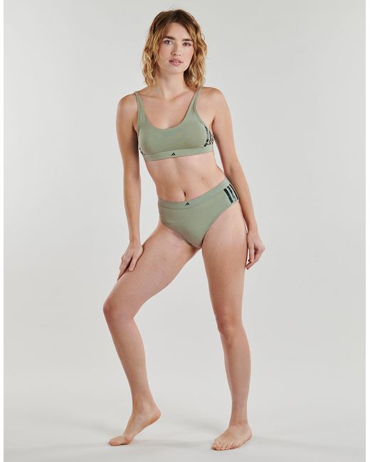 Adidas Green Knickers/panties Active Essentials Cotton 3 Stripes