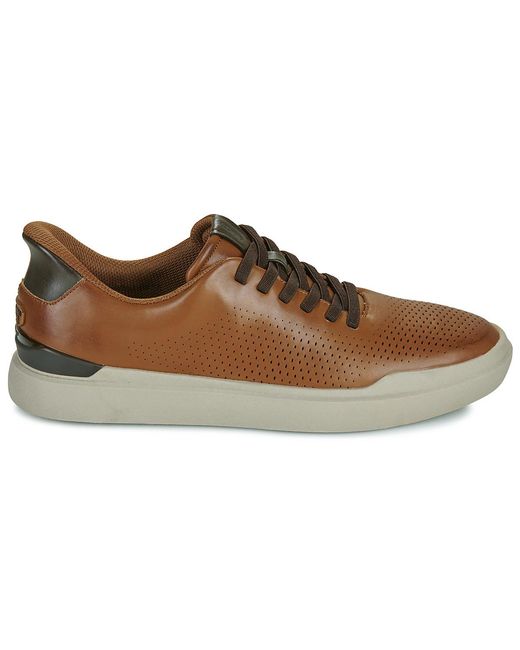 Skechers Brown Slip-ons (shoes) Owen Connell Slip-ins for men