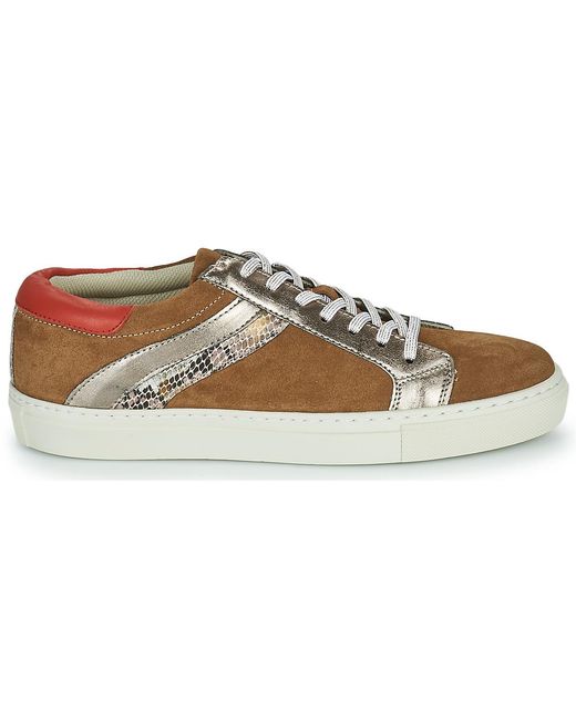 Betty London Gray Shoes (trainers) Pitinette