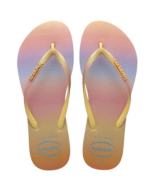 Havaianas Multicolor Flip Flops / Sandals (shoes) Slim Gradient Sunset