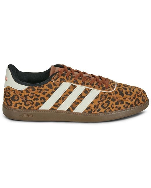 Adidas Brown Shoes (trainers) Breaknet Sleek