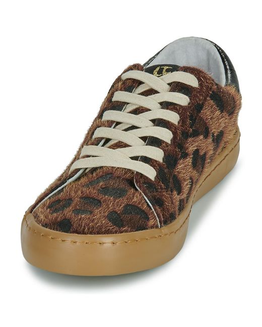 Le Temps Des Cerises Brown Shoes (trainers) Ltc City