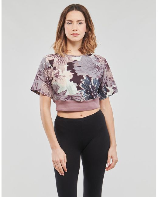 Adidas Purple T Shirt W Aop Crp Tee