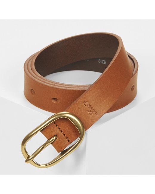 Levi's Brown Belt Charlie Belt Regular