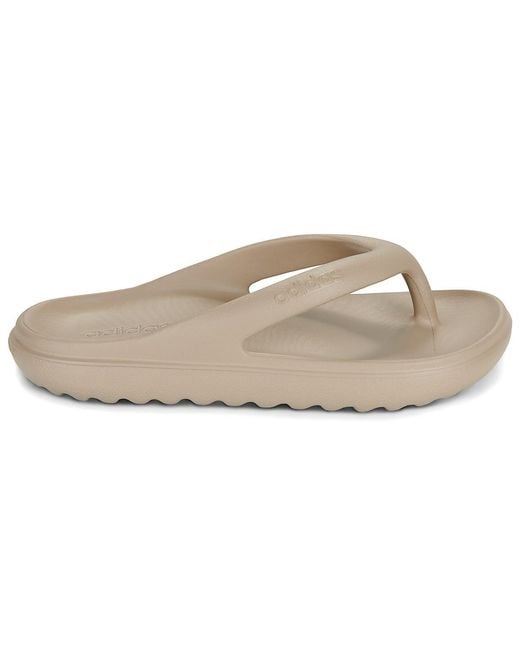 Adidas Brown Flip Flops / Sandals (shoes) Adilette Lumia Flip Flop