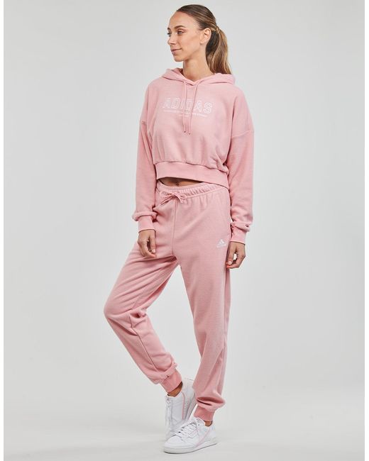 Adidas Pink Hoodies Ts Top Wonmau