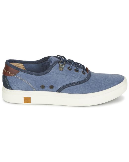 timberland amherst oxford