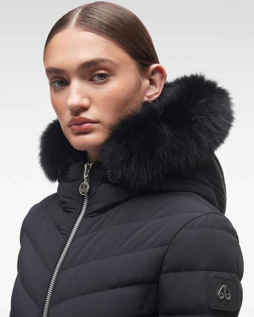 Roselawn jacket sale