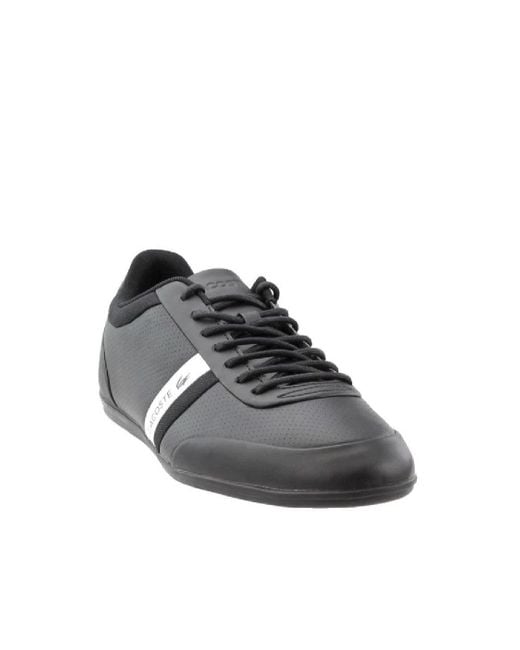 Storda lacoste best sale