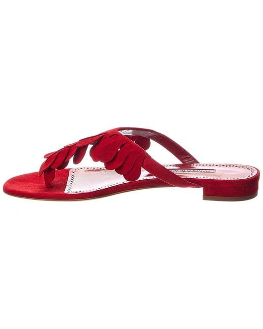 Manolo Blahnik Red Tamako Suede Sandal