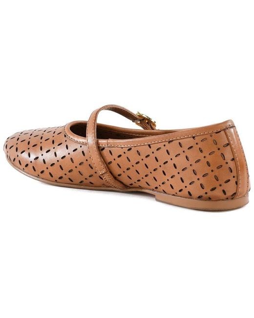 Seychelles Brown Skyler Leather Flat