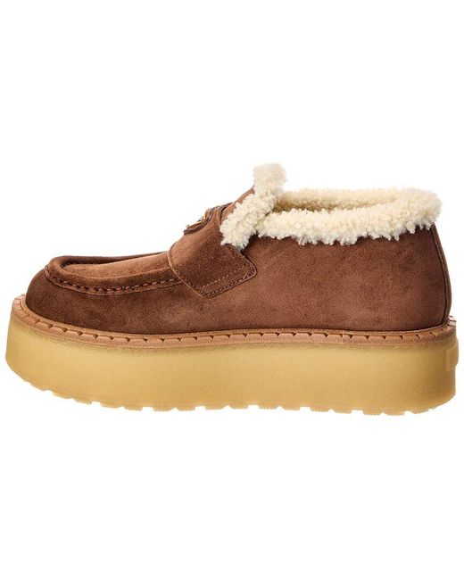 Prada Brown Suede Platform Loafer