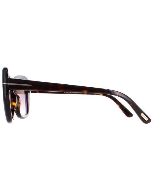 Tom Ford Brown Ft1008 55Mm Sunglasses