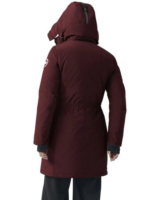 Ellesmere canada discount goose