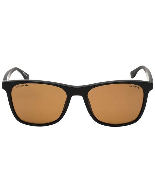 Lacoste Brown L860Sp 56Mm Polarized Sunglasses