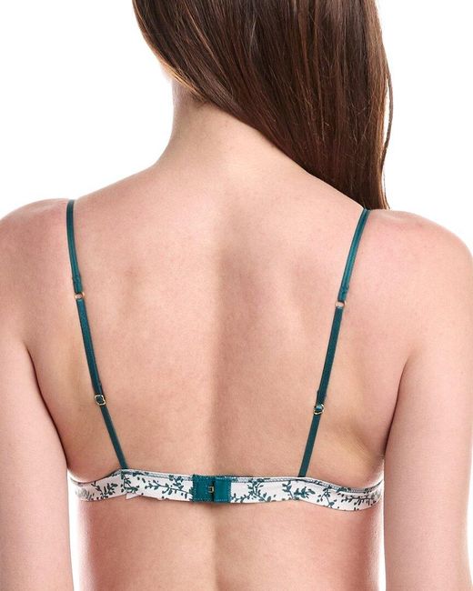 Honeydew Intimates Black Bralette