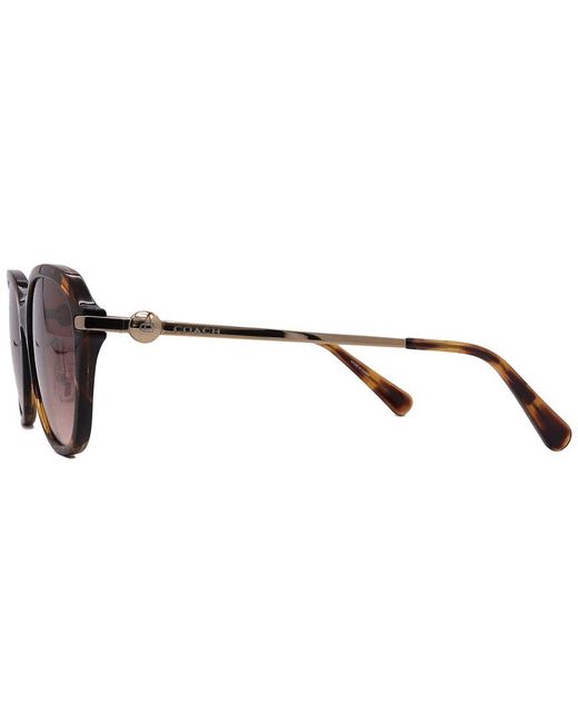 COACH Brown Hc8332D 56Mm Sunglasses