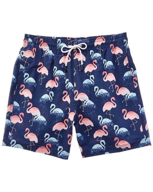 Trunks Surf & Swim Blue Print Swim Trunk for men