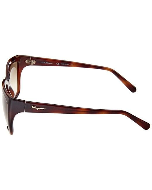 Ferragamo Brown Sf1018S 59Mm Sunglasses