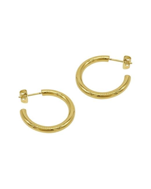 Adornia Metallic 14k Plated Hoops