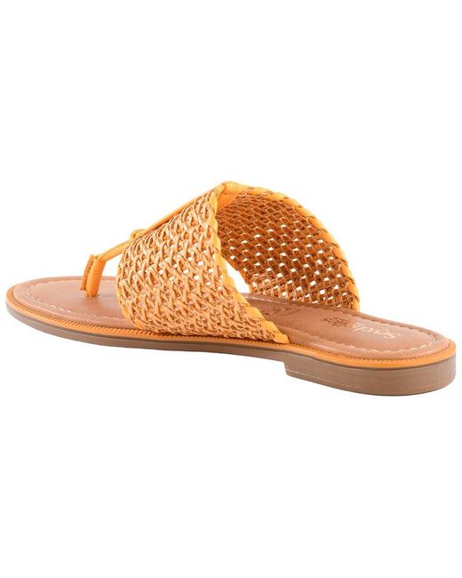 Seychelles Orange Florence Sandal