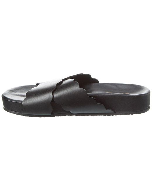 Seychelles Black Odie Leather Sandal