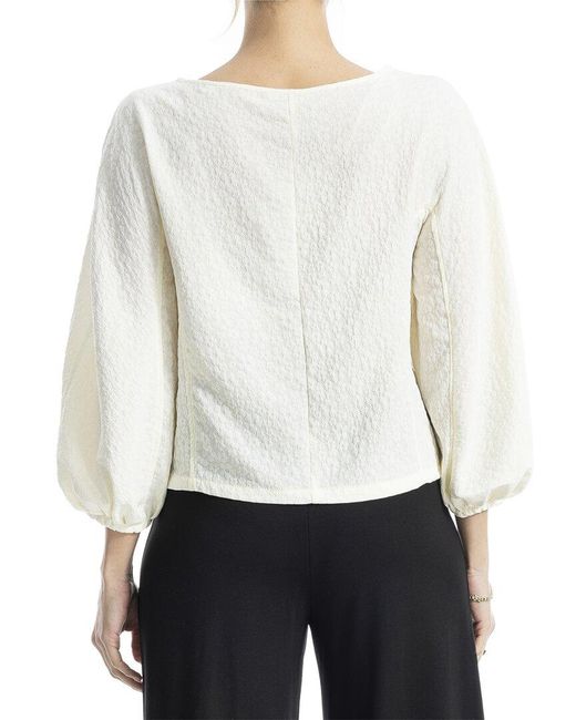 Max Studio White Top
