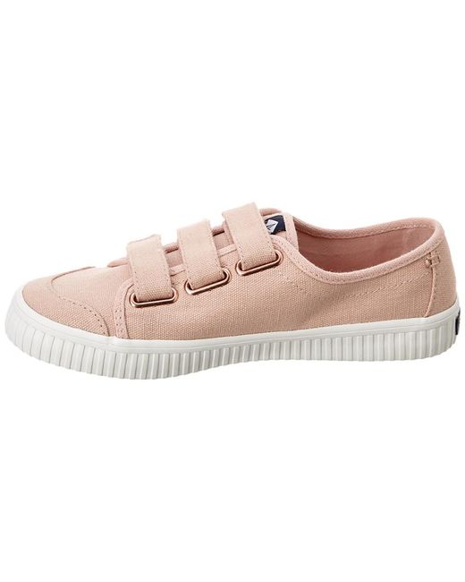 sperry crest creeper