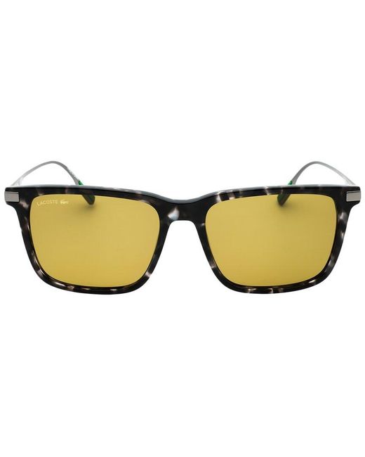 Lacoste Yellow L6017S 55Mm Sunglasses