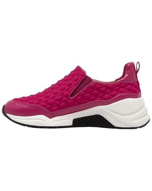 Linea Paolo Pink Rawson Sneaker
