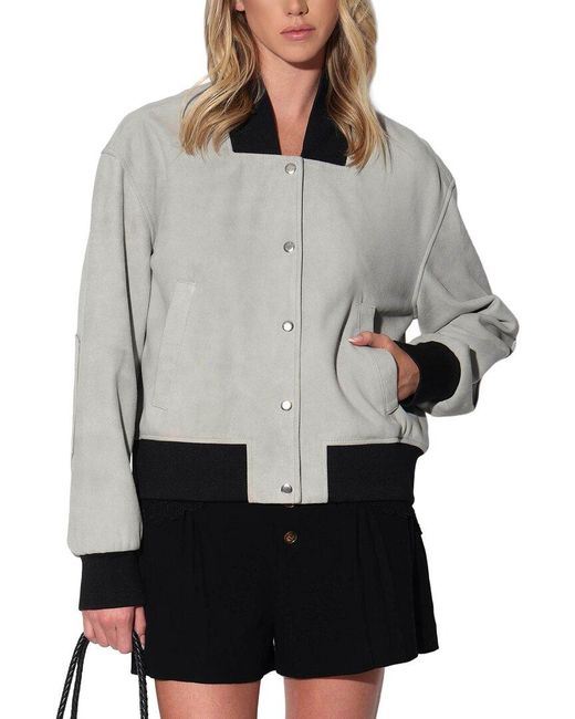 Walter Baker Gray Emilio Leather Jacket