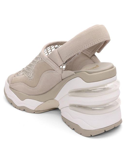 Ash Natural Ceva Wedge