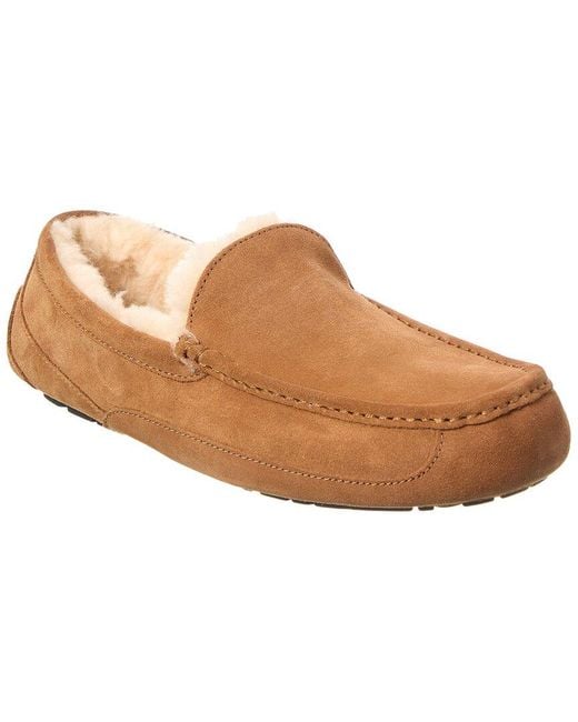 Ugg Brown Ascot Suede Slipper for men