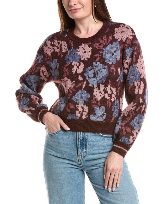 Saltwater Luxe Red Printed Sweater