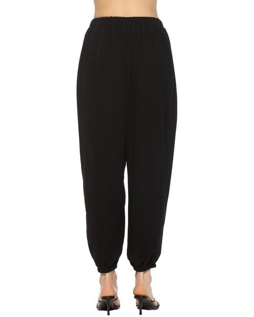 Alexia Admor Black Silas Pant