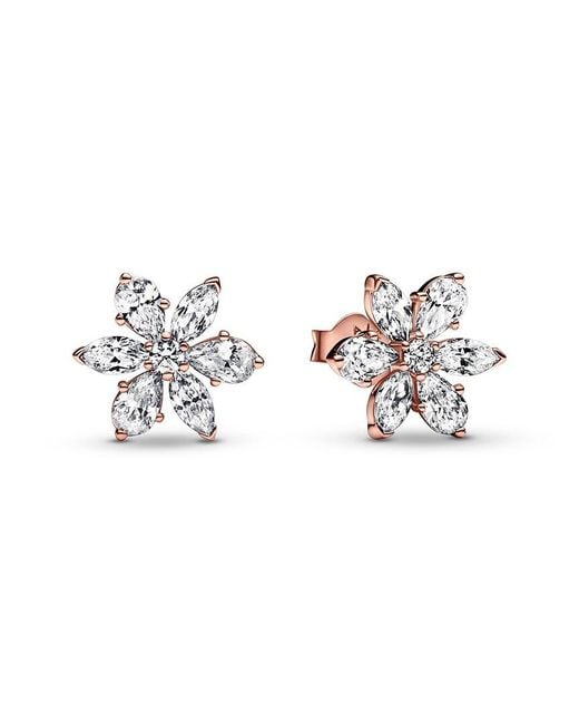 Pandora White Timeless 14K Rose Plated Cz Sparkling Herbarium Cluster Stud Earrings