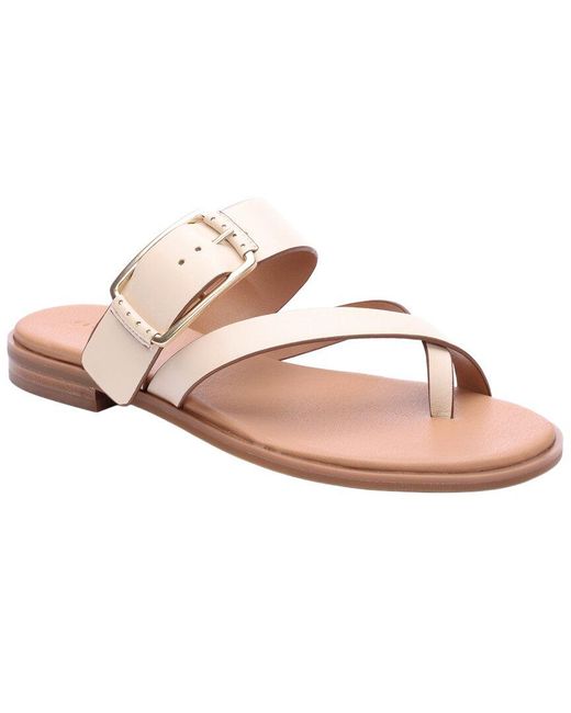 Sanctuary Pink Spring Leather Flip Flop