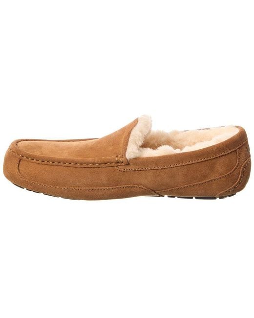 Ugg Brown Ascot Suede Slipper for men