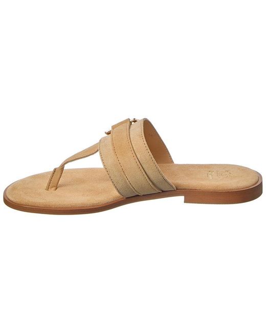 Dune White Lotica Suede Sandal