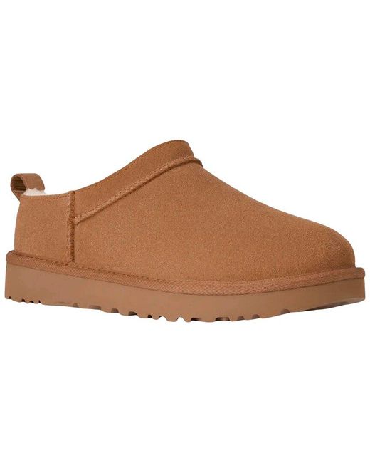 Ugg Brown Classic Micro Booties