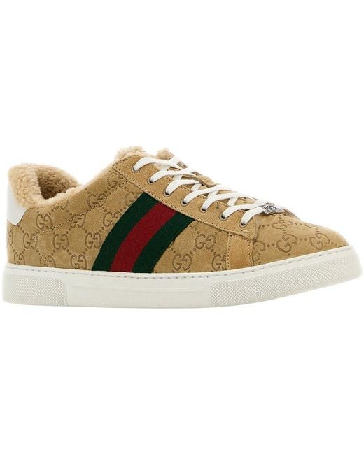 Gucci Brown Suede Sneaker